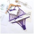 New Style Lace Transparent Embroidery Sexy Hot Underwear With Bra And Panty Set - Fashion | Panties For Women | Bra. 