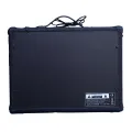 Deviser TG-40R Guitar Amplifier (40 Watts)-Black | Deviser Portable Guitar Amplifier For Home Use | Portable Guitar Amp. 