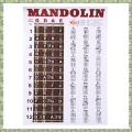 SptrryMandolin Poster Chart Chord Musical Trainning Instrument Guide Chords Fretboard Fingering Chart. 