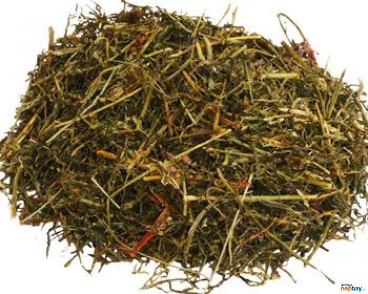 Jimbu%20(Allium%20Schoenoprasum)%20-%20Image%205