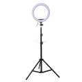 26 cm Ring Fill Light With 7 Feet Stand and Mobile Holder. 