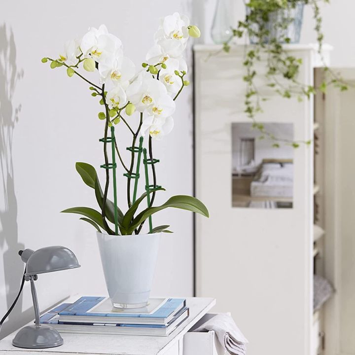 20%20Pack%20Plant%20Support%20Stakes%20Flower%20Support%20Stake%20Adjustable%20Garden%20Single%20Stem%20Floral%20-%20Image%204