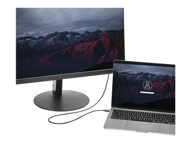 Type-C%20To%20Display%20Port%20Cable%20-%20Image%204