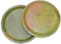 TMS Pack of 200 Eco-friendly Bio Degradable Disposable Dinner Plate | | Compostable | Natural | Sal Leaf / Leaves Plates. 