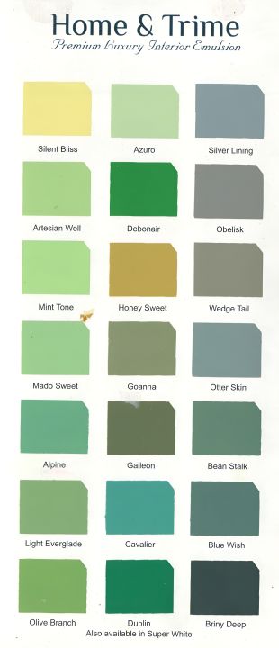 Jasmine%20Interior%20luxury%20Emulsion%20-%20Home%20&%20Trime%20-%20Image%206