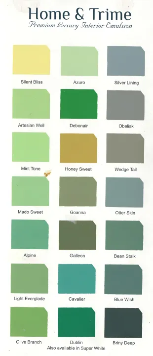Jasmine%20Interior%20luxury%20Emulsion%20-%20Home%20&%20Trime%20-%20Image%206