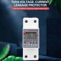 ARELENE 2X Tuya 63A 110V 220V WiFi Energy Meter Kwh Metering Switch Timing Function with Voltage Current and Leakage Protection. 