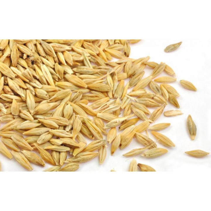 Jau | Barley Grain Seed  500 GM