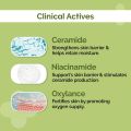 The Derma Co 4% Ceramide Barrier Repair Moisturizer-50gm. 