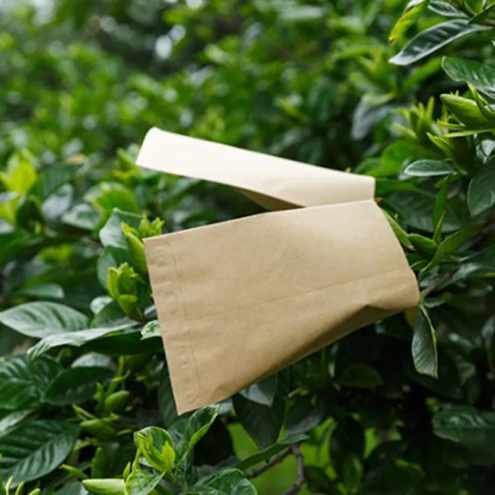 100Pcs%20Kraft%20Paper%20Seed%20Protective%20Envelope%20Storage%20Bags%20Mini%20Envelopes%20Packets%20-%20Image%203