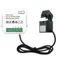 NCANRUI Tuya Smart ZigBee Energy Meter 80A with Clamp App Monitor KWh Voltage Current Power Consumption 110V 240V. 