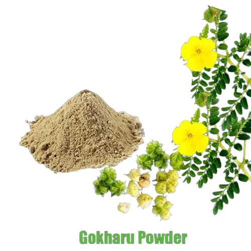 Gokhru Powder - Tribulus Terrestris For Kidney Health And Urinary Tract Infections - Goksura for Wellness and Vitality - Gokharu Kada 100gm Powder