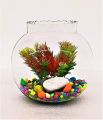10 Inch Glass Pot Bowl Aquarium By Crown Aquatics. 