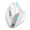 ZELOTES F-36 Wireless Vertical 2.4G Bluetooth Mouse Full. 