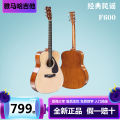 YAMAHA Yamaha Folk Guitar f600 Novice f310 Beginner's Guide for Men and Women 41 Inch 40 Guitar Regular Card. 