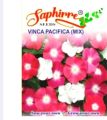 99 Mall Offer 1 Packet of Vinca Seeds – Catharanthus Roseus ‘Pacifica Lipstick Mix XP’ | Includes 50+ Premium Seeds of Vibrant Vinca Pacifica Mix By 99 Stores. 
