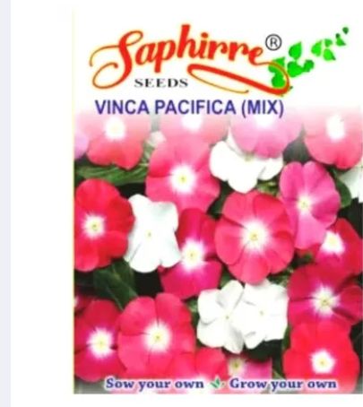 99%20Mall%20Offer%201%20Packet%20of%20Vinca%20Seeds%20%E2%80%93%20Catharanthus%20Roseus%20%E2%80%98Pacifica%20Lipstick%20Mix%20XP%E2%80%99%20%7C%20Includes%2050+%20Premium%20Seeds%20of%20Vibrant%20Vinca%20Pacifica%20Mix%20By%2099%20Stores%20-%20Image%204