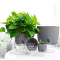 Self Watering Pot ( 3 Size Option). 