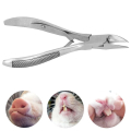 Aeromax Stainless Steel Pig Teeth Cutter Pliers Elbow Pig Tooth Nipper Livestock Equipment Poultry Accessories. 