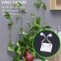 10PCS Invisible Plants Holder Greenhouse Bracket Wall Sticky Hook Plant Clip Wall Vines Rattan Clamp. 