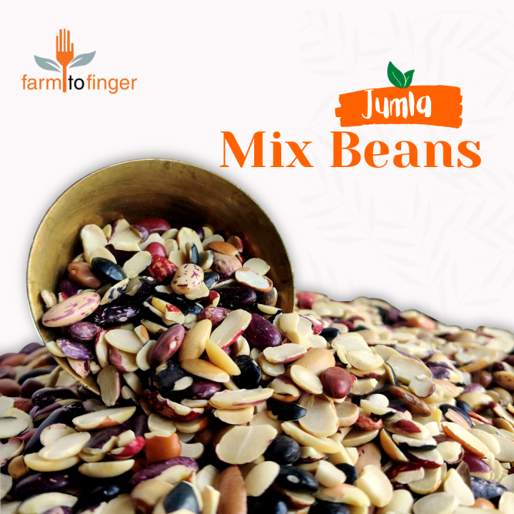 f2f-jumli-mix-beans-1kg-daraz-np