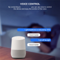 NAMUNY C01W Tuya Light Strip Controller& C02W 2.4G WIFI Bluetooth Mobile APP Smart Controller Intelligent Voice Control A. 