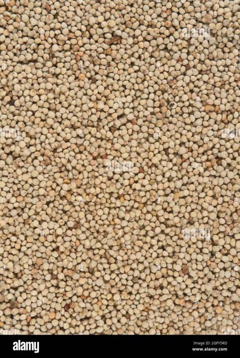 Silam%20Seeds%20(Perilla%20Seeds)%20-100gm%20-%20Image%203