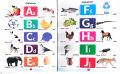 All In One Book For Kids ( Laminate Paper). 