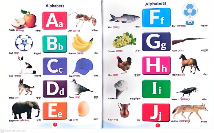 All%20In%20One%20Book%20For%20Kids%20(%20Laminate%20Paper)%20-%20Image%202