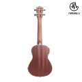 Manaslu Danfe 24 Inch Concert EQ Ukulele With Package. 