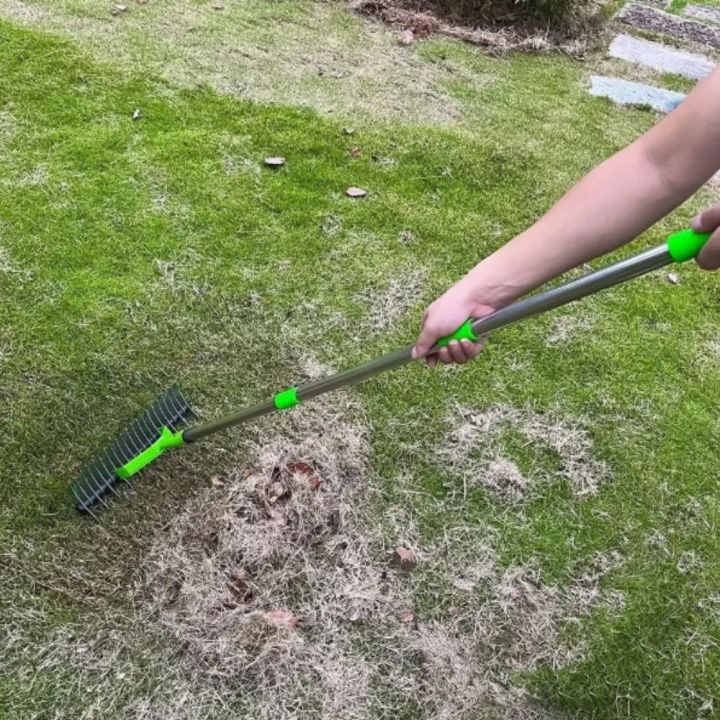Turf Combs Grass Grooming Stainless Steel Detachable Lawn Thatch Rake Removable ...