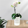 ZOROOM 2X Orchid Pots with Holes,4 Inch Ceramic Orchid Pot for Repotting, Flower Planter Pot Indoor Outdoor, Breathable White. 