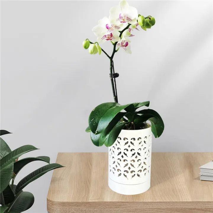ZOROOM%202X%20Orchid%20Pots%20with%20Holes,4%20Inch%20Ceramic%20Orchid%20Pot%20for%20Repotting,%20Flower%20Planter%20Pot%20Indoor%20Outdoor,%20Breathable%20White%20-%20Image%203