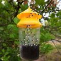 MRK3C New Plastic Fruit Fly Trap Killer Orchard Vegetable Pest Control Reusable Drosophila Trap For Home Garden/Patio/Orchard. 