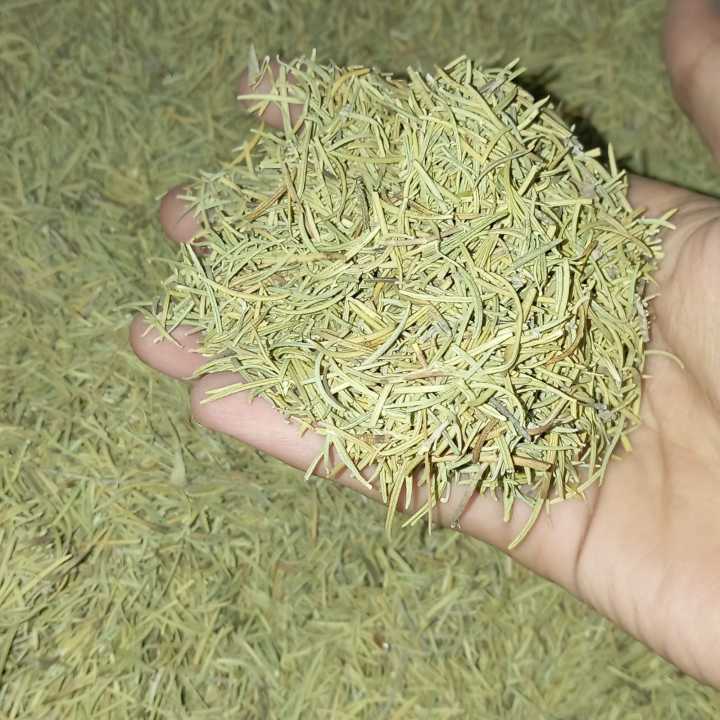 Rosemary%20Leaves%20(%20Dried%20Rosemary%20)%20-%20100%20gm%20-%20Image%206