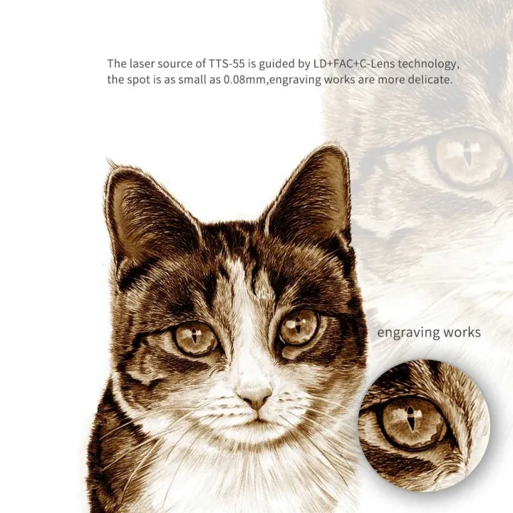 Two%20Trees%20%E2%80%93%20TTS%2055%20Diode%20Laser%20Engraver,%20High%20Precision%20and%20Fast%20Engraving%20Machine%20Kit%20-%20Image%205