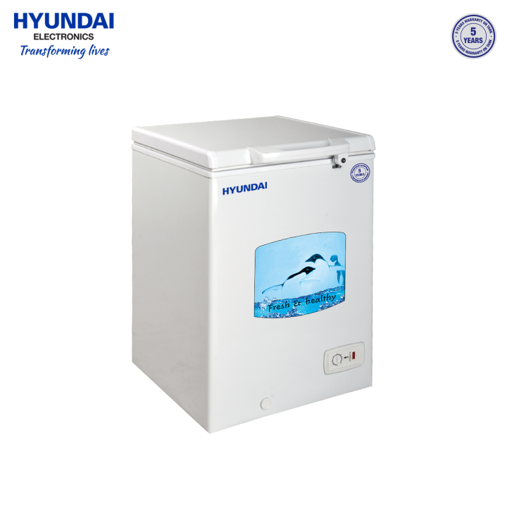 Hyundai 150 L Hard Top Chest Freezer | BD150AF (HYU150)