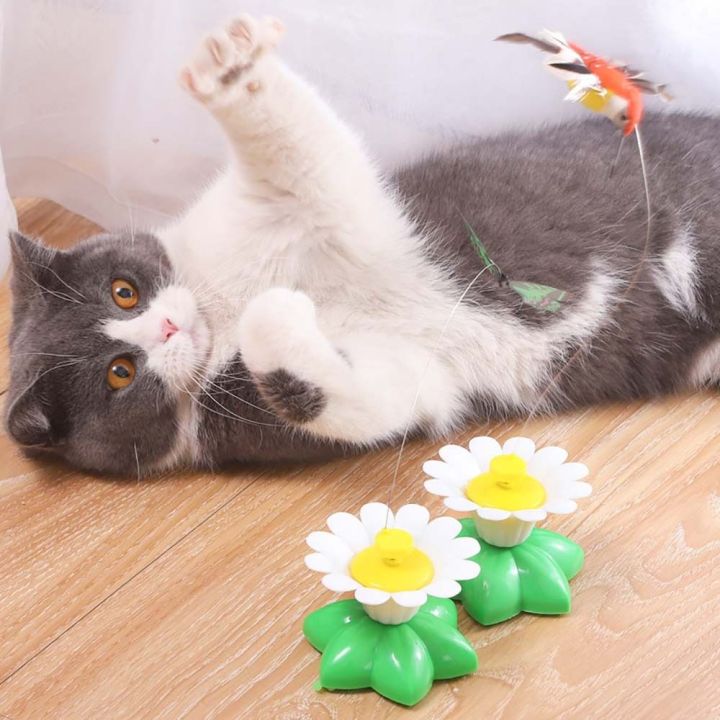 Automatic%20Funny%20Exercise%20Catch%20Indoor%20Play%20Butterfly%20Bird%20Bee%20Dog%20Kitten%20Pet%20Teaser%20Rotating%20Cat%20Cat%20Training%20Pet%20Supplies%20-%20Image%204