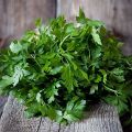 50+ Loose Packed Seed Of Parsley Elite, Botanical Name: Petroselinum crispum, Excellent Quality Seed Can Grow All Over Nepal, Non GMO Seeds. 