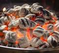 Barbecue Charcoal 3kg Bags. 