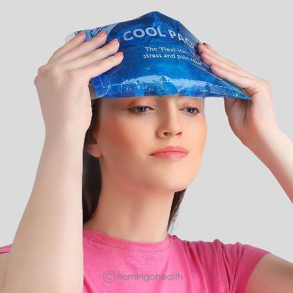 Flamingo%20Ice%20Cool%20Pack,%20Regular%20(Blue)%20-%20Image%203