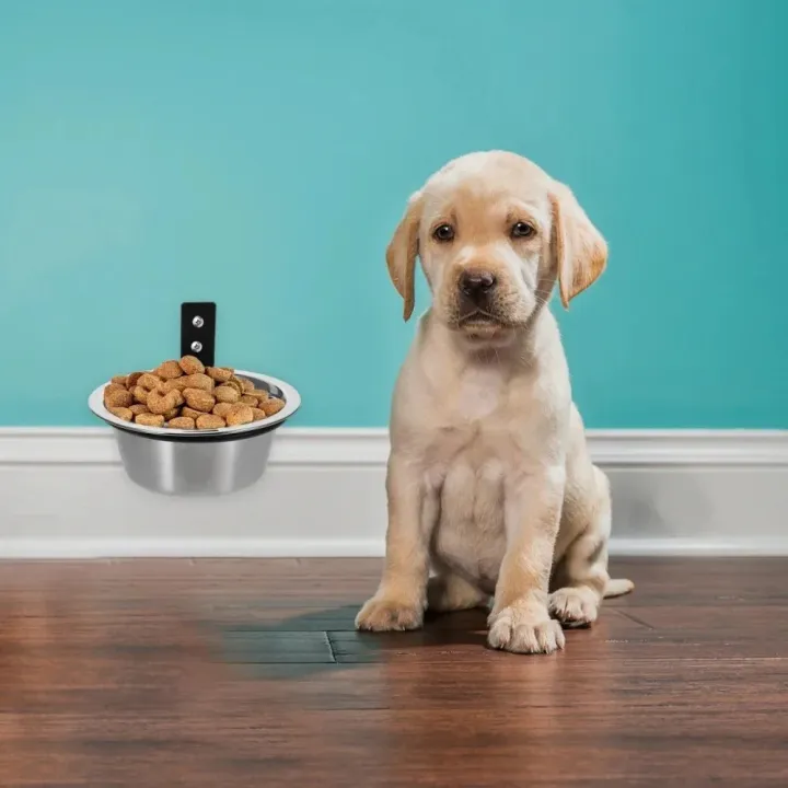 Cat%20Basin%20Foldable%20Hanging%20Pet%20Bowl%206/8inch%20Anti%20Slip%20Stationary%20Dog%20Cage%20Bowl%20Multifunction%20Wall%20Mounted%20Pet%20Food%20Dispenser%20Home%20-%20Image%208