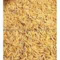 Puja Samagri Paddy Seeds/Dhan 500g. 
