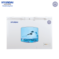 Hyundai 600 L Hard Top Chest Freezer | BD600AF (HYU600). 
