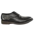 Black Horse Lace Up Formal Shoes For Men (2317). 