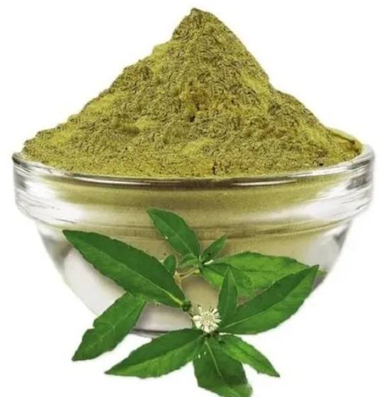 ShopWholly%20Premium%20Bhringraj%20Powder%20%E2%80%93%20100%25%20Natural%20Ayurvedic%20Herbal%20Powder%20for%20Hair%20Growth,%20Strong%20Roots%20&%20Healthy%20Scalp%20%E2%80%93%20100g%20/%20200g%20/%20500g%20-%20Image%202