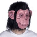 Props: Halloween, Full Face, Animal Mask, Gorilla Ape, Latex, Hairy Monkey, Black Rubber Face Mask, Funny Headgear, Role Play. 