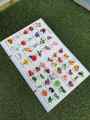 All In One Board Book for Kids/ Nursery and Play Group Standard, Hard Board Pages By Mitrata. 