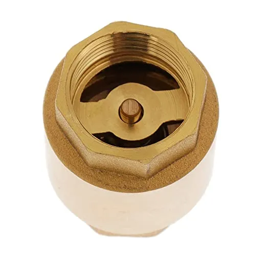 Brass%201"%20Check%20Valve/%20Brass%20&%20Spring%20Made%20Of%20Stailess%20steel%20-%20Image%203