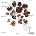 Wood Chips DIY Flower Kit Chenmai Fruit Shell Material Taibao Acorn Dried Handmade Photo Frame Plant Specimen Pine Cone. 